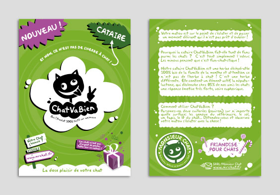 flyer Monsieur Chat